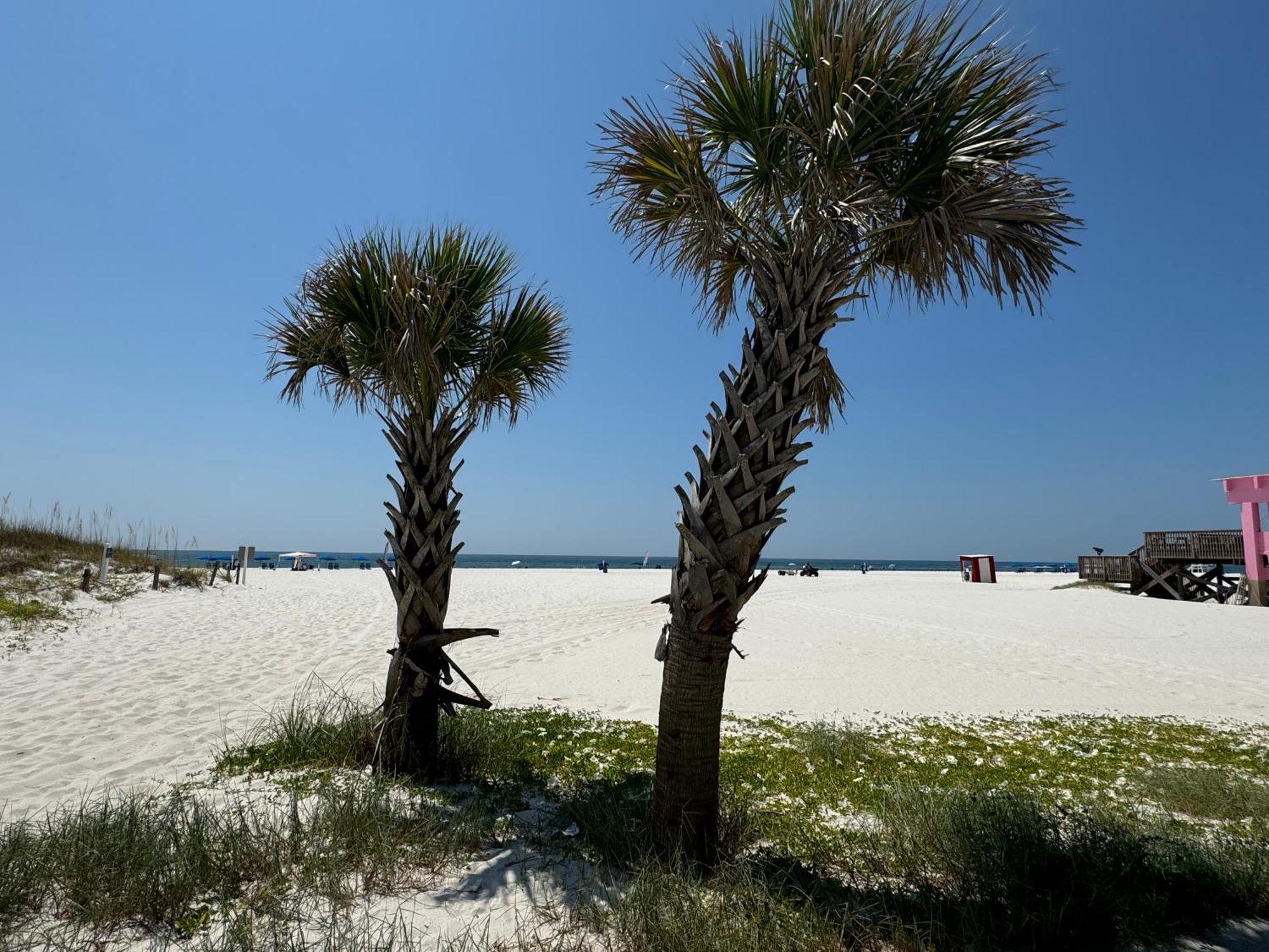 Paradise Prn Gulf Shores Dış mekan fotoğraf